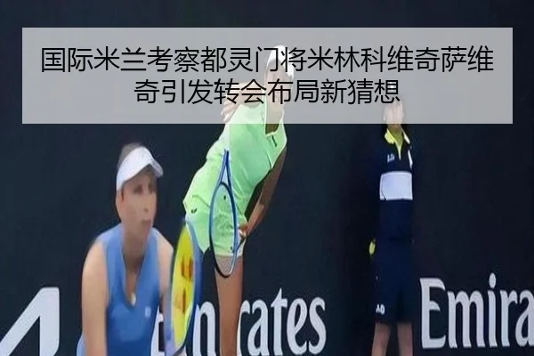 国际米兰考察都灵门将米林科维奇萨维奇引发转会布局新猜想