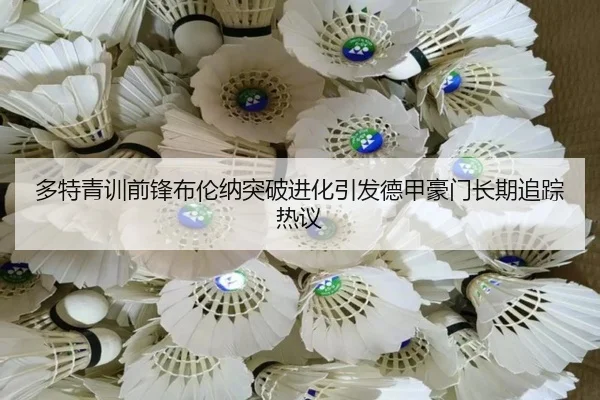 多特青训前锋布伦纳突破进化引发德甲豪门长期追踪热议